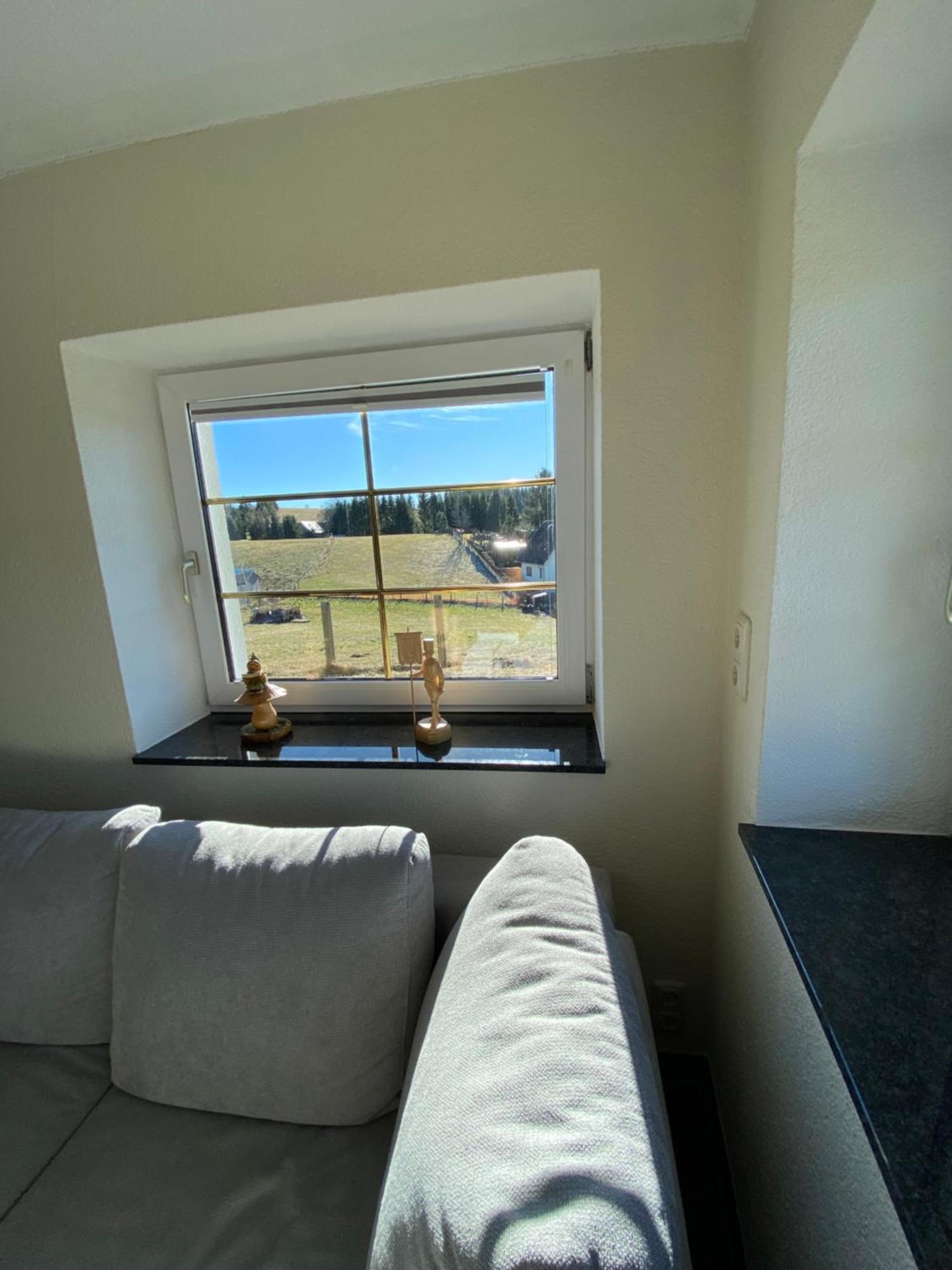 Ferienhaus In Schoenheide Im Schoenen Erzgebirge Buitenkant foto