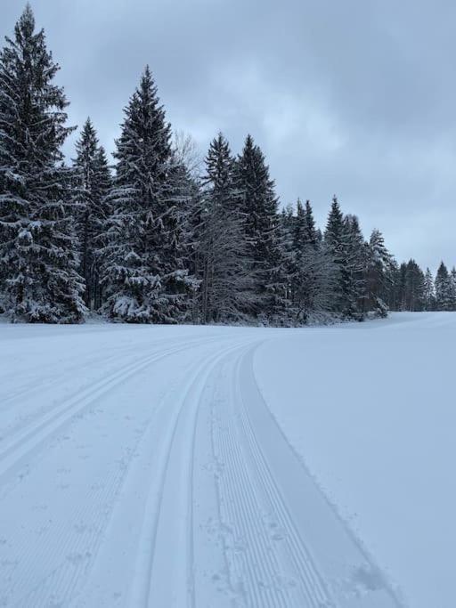 Ferienhaus In Schoenheide Im Schoenen Erzgebirge Buitenkant foto