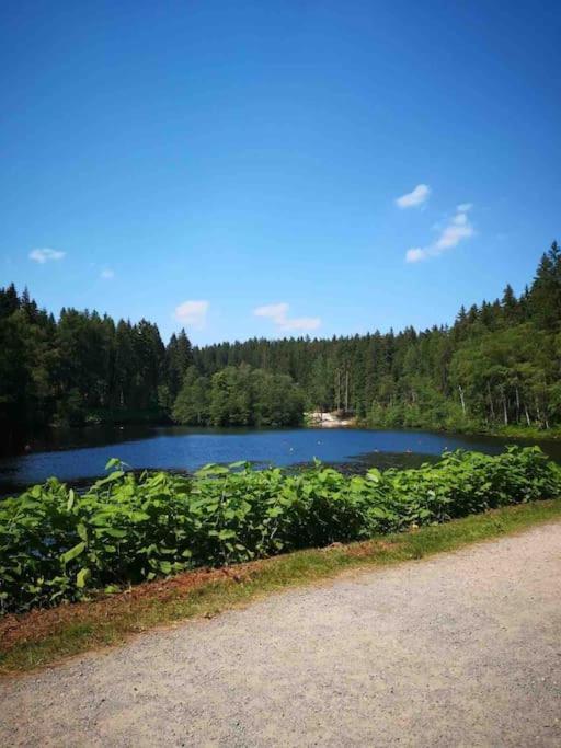Ferienhaus In Schoenheide Im Schoenen Erzgebirge Buitenkant foto